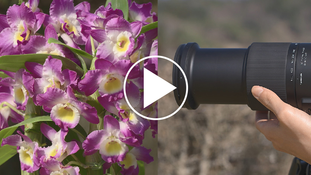 TAMRON 50-400mm F/4.5-6.3 Di Ⅲ VC VXD (דגם A067)