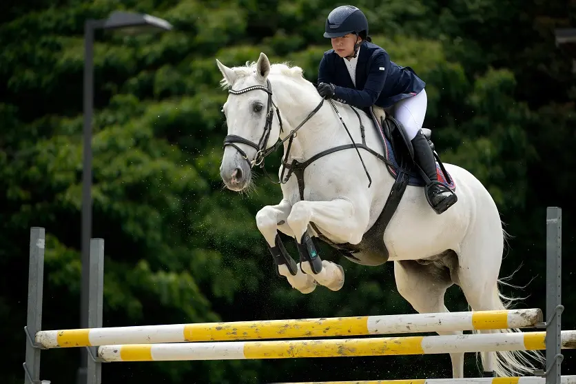 שימוש במיקוד אוטומטי (AF)