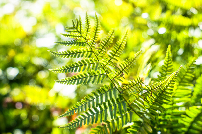 תמונות מסע של הצלם HARUKI בהוקאידו עם TAMRON החדש 17-50mm F/4 Di III VXD (דגם A068)