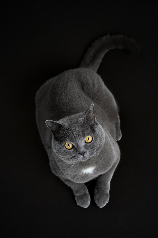 תמונות לדוגמה של 50-300mm F4.5-6.3 Model A069 מאת Tomizo Sakaida