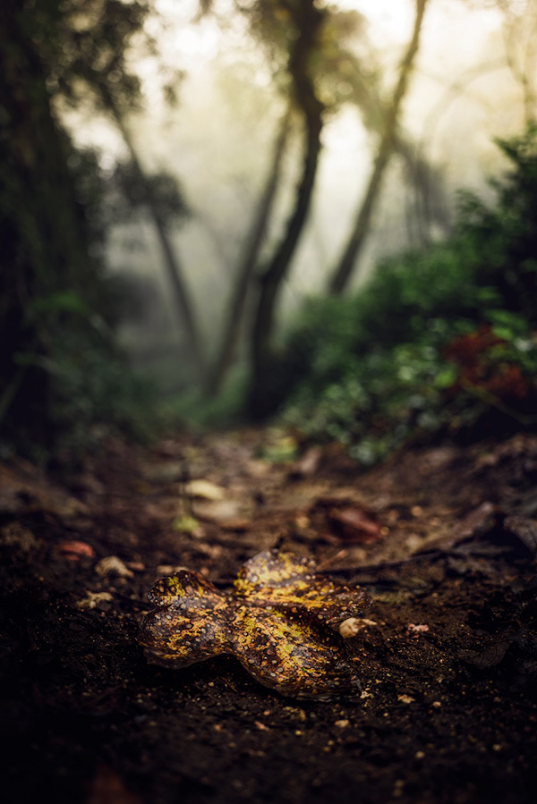 TAMRON 20mm F2.8 (Mode F050) למערכת Sony E-mount x נוף ותצלום על ידי Alexander Ahrenhold