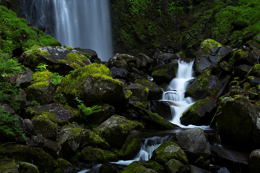 TAMRON 70-300mm F4.5-6.3 (Model A047) למערכת NIKON Z x נוף מאת Yukie Hayashi