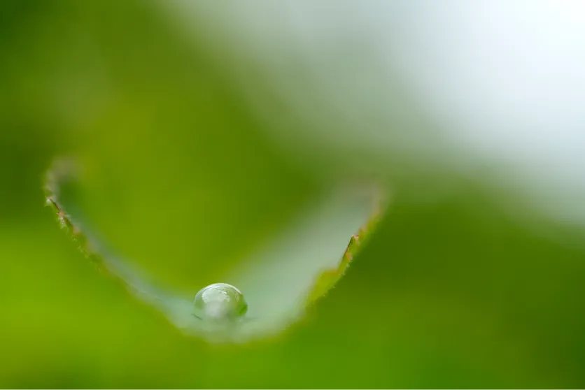 טיפות מים